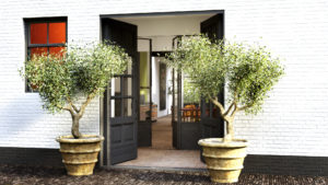 Brinkman Fine Realestate